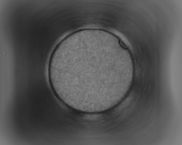 X0000100481237200807111055