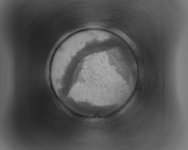 X0000100481240200807111055