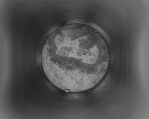 X0000100481241200807111055