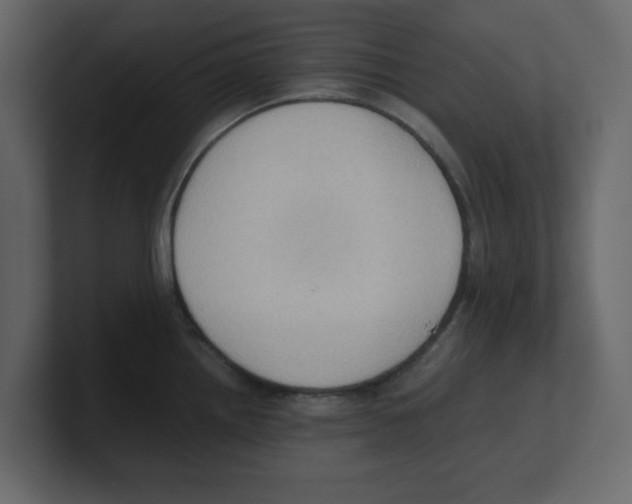 X0000100481242200807111055