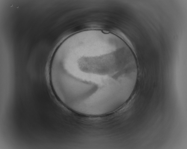 X0000100481243200807111055