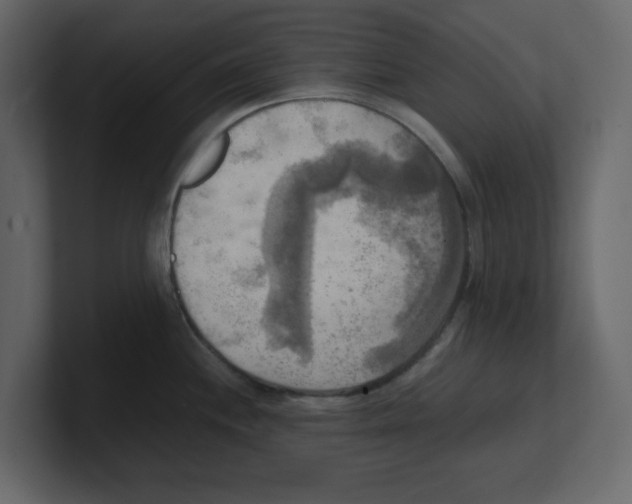 X0000100481244200807111055