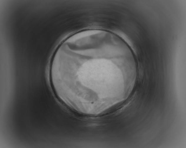 X0000100481245200807111055