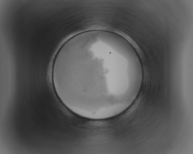 X0000100481246200807111055