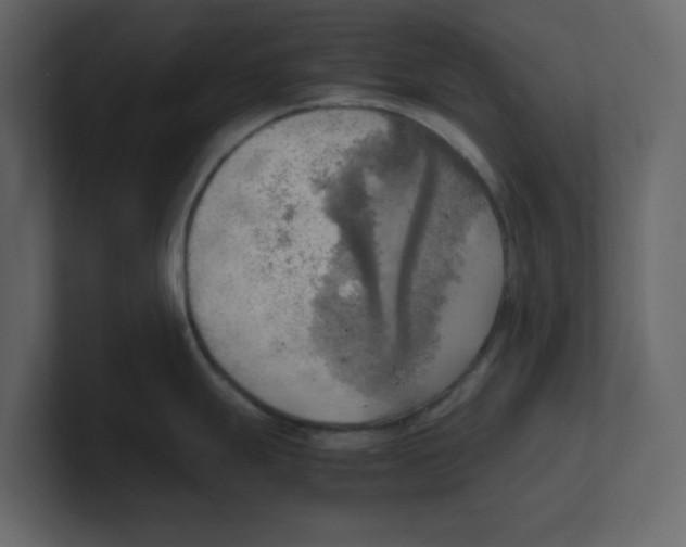 X0000100481247200807111055