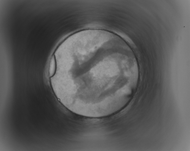 X0000100481248200807111055