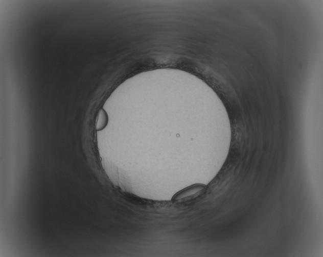 X0000100481249200807111054