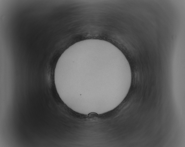 X0000100481250200807111054