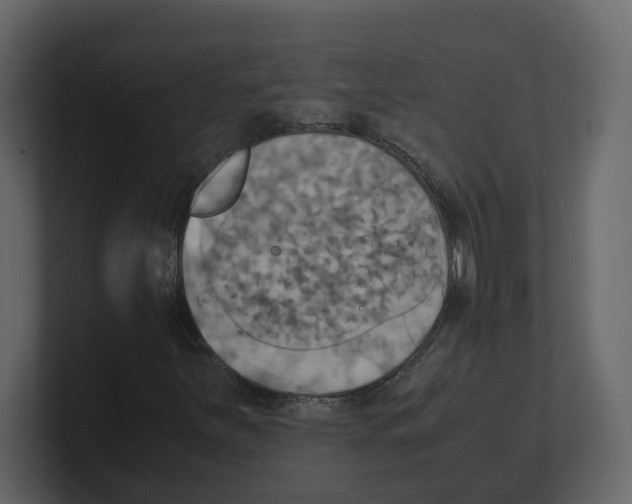 X0000100481251200807111054