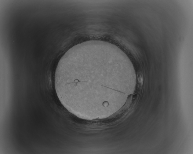 X0000100481252200807111054