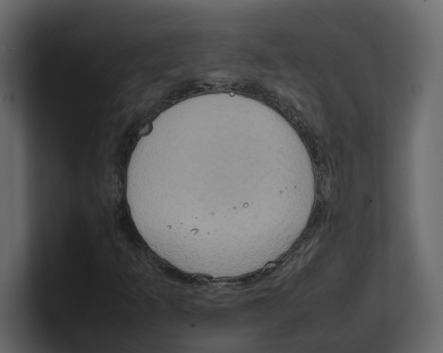 X0000100481253200807111054