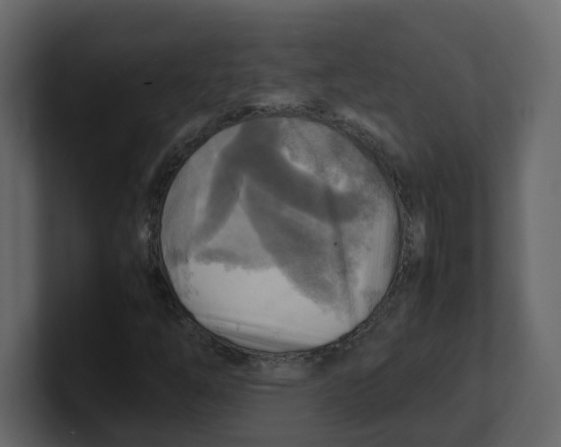 X0000100481254200807111054