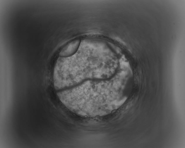 X0000100481255200807111054