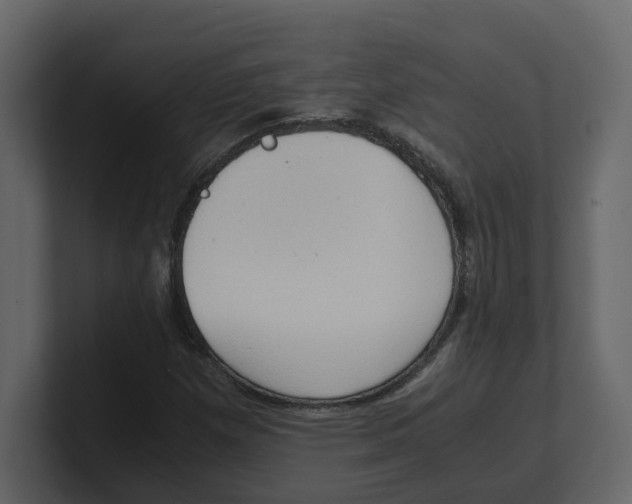 X0000100481257200807111054