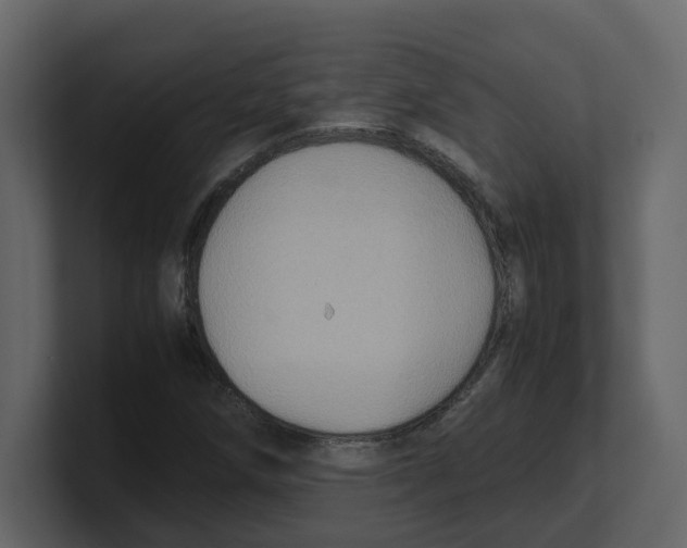 X0000100481258200807111054