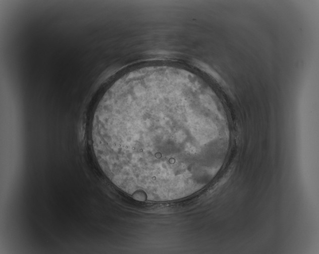 X0000100481259200807111054