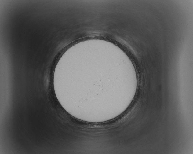 X0000100481261200807111054