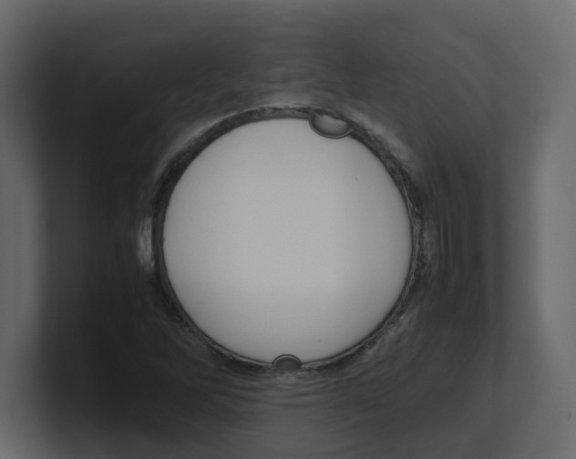 X0000100481262200807111054