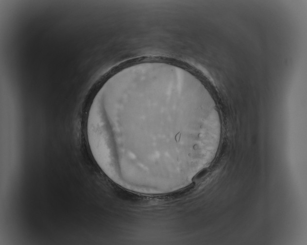 X0000100481263200807111054