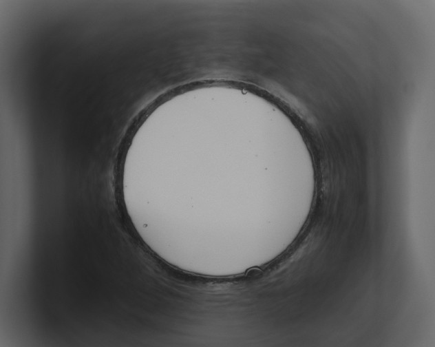 X0000100481264200807111054