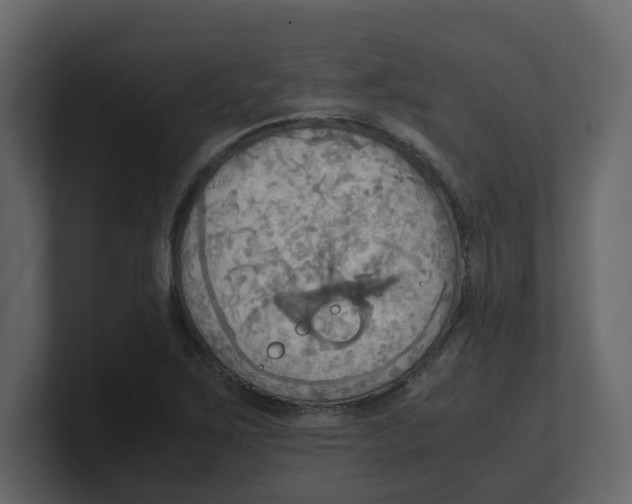 X0000100481267200807111054