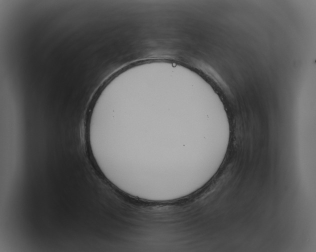 X0000100481268200807111054