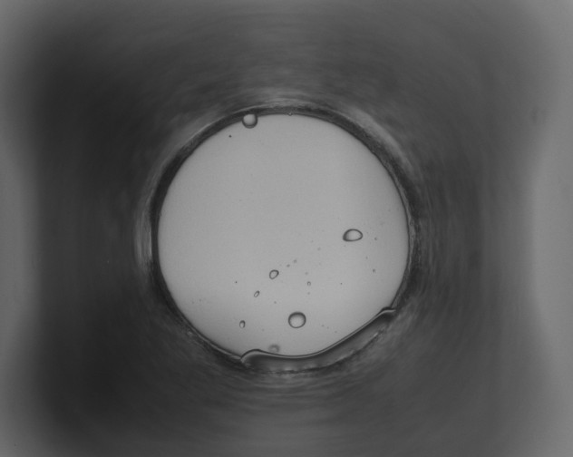 X0000100481269200807111054