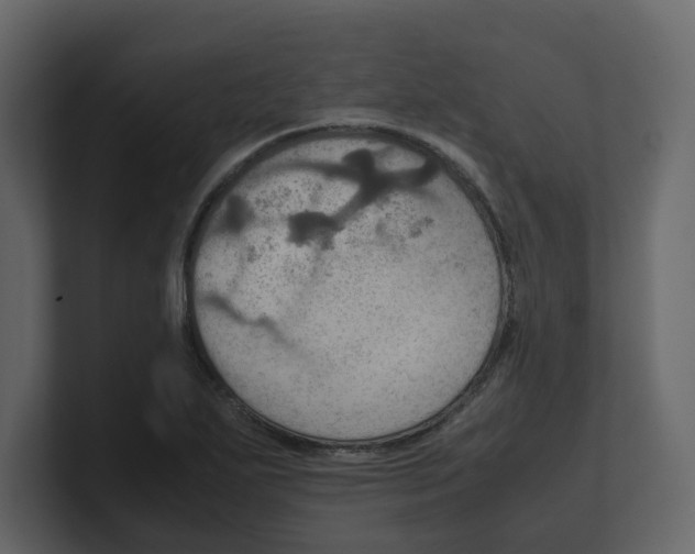 X0000100481271200807111054