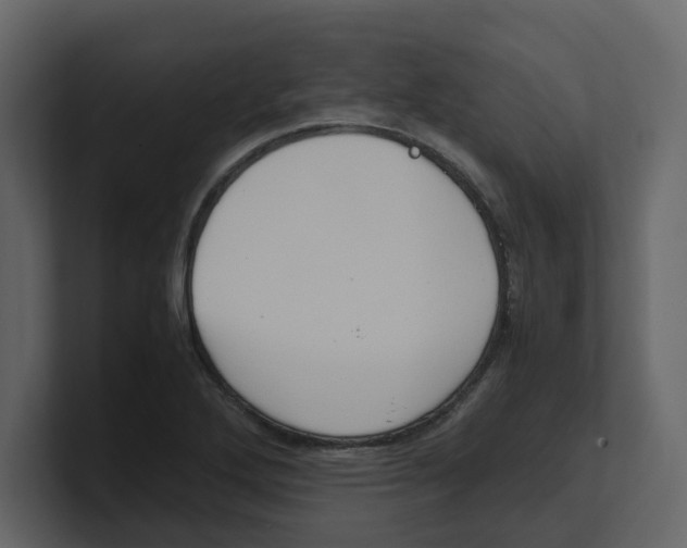 X0000100481272200807111054