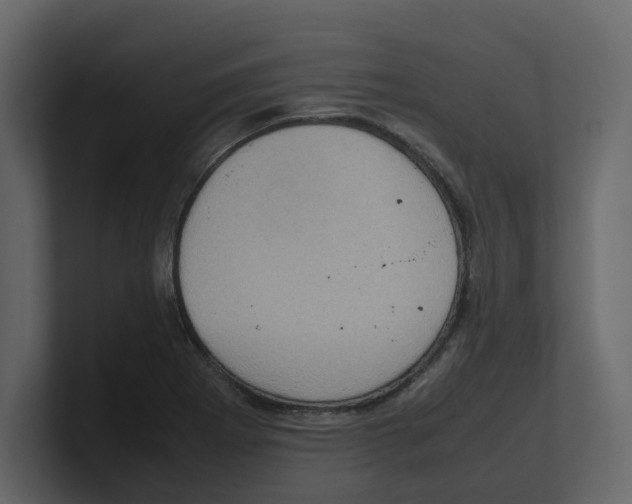 X0000100481273200807111054