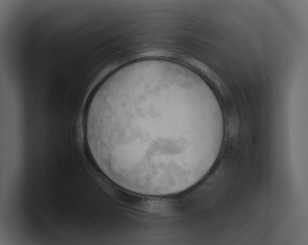 X0000100481274200807111054