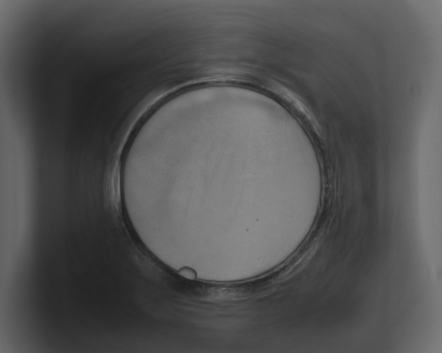 X0000100481275200807111054