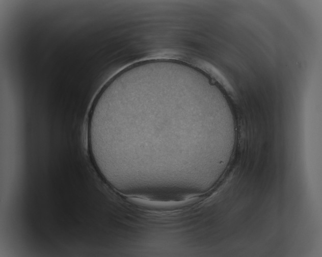 X0000100481276200807111054