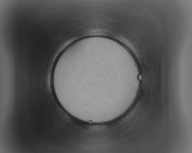 X0000100481277200807111054