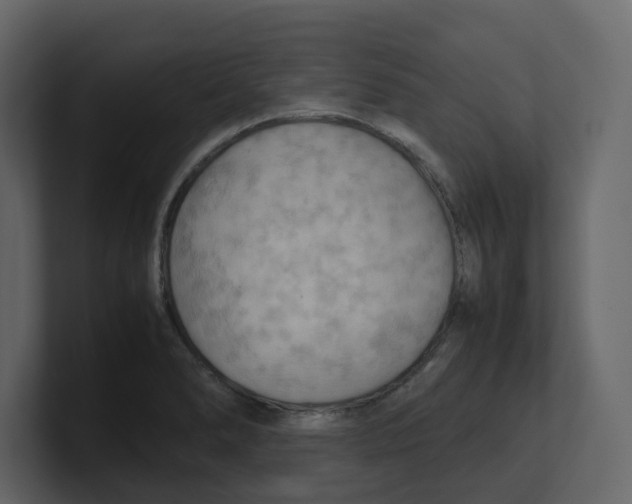 X0000100481278200807111054