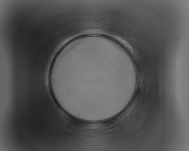 X0000100481279200807111054