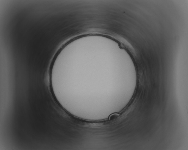 X0000100481280200807111054