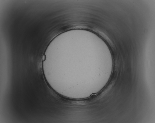 X0000100481281200807111054