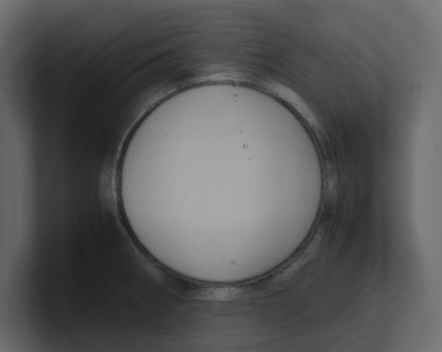 X0000100481282200807111054