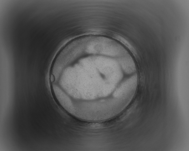 X0000100481283200807111054