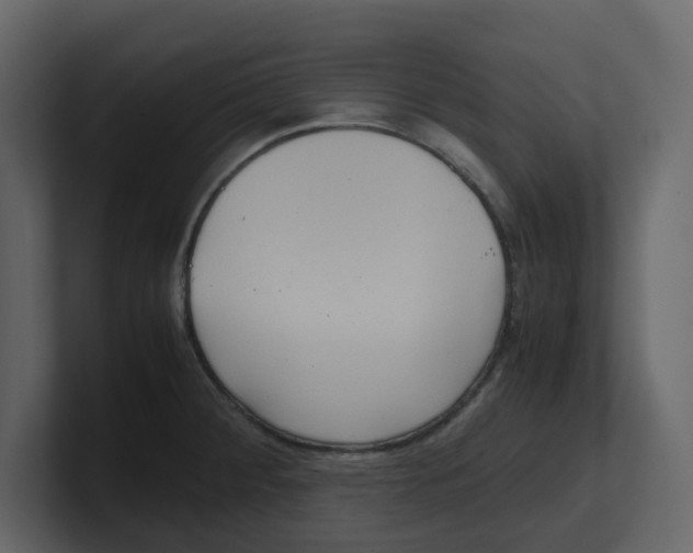 X0000100481284200807111054