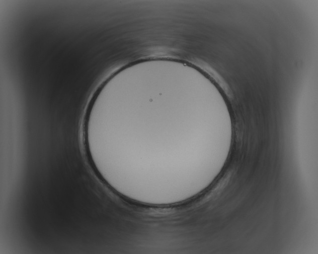 X0000100481285200807111054