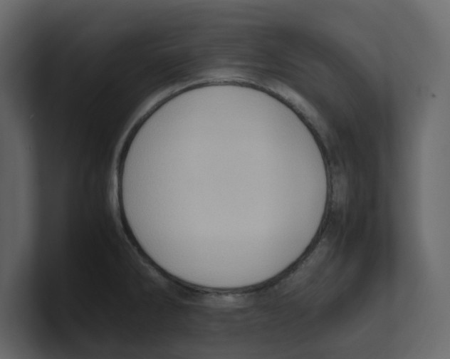 X0000100481286200807111054