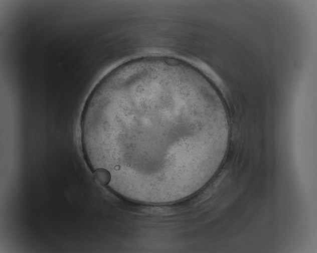 X0000100481287200807111054