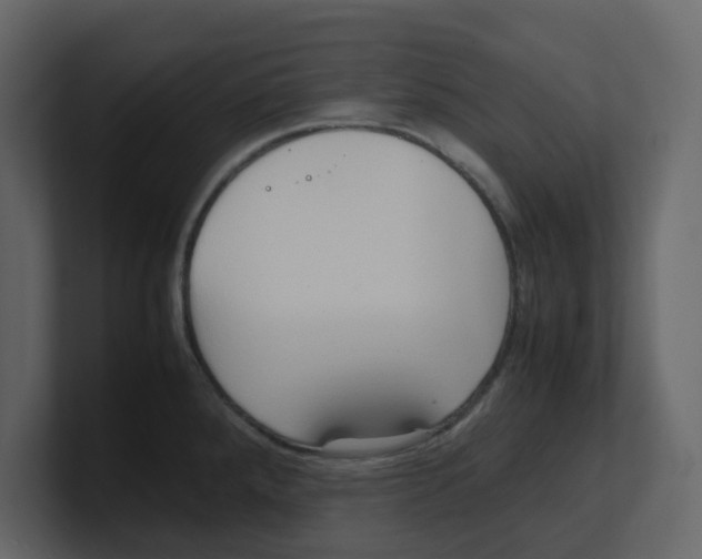 X0000100481288200807111054