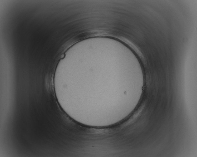 X0000100481289200807111054