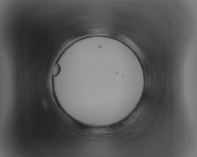 X0000100481291200807111054