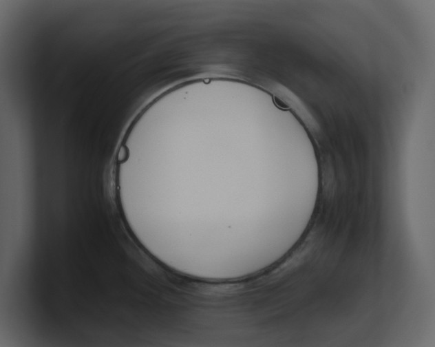 X0000100481292200807111054