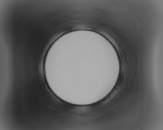 X0000100481293200807111054