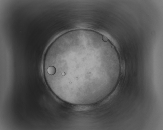 X0000100481294200807111054